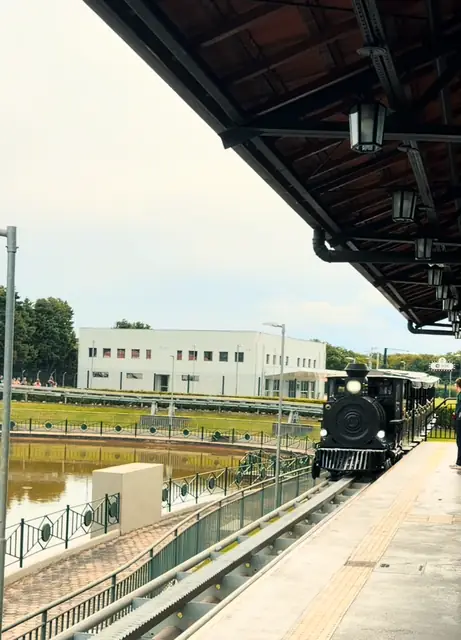 Trem turístico na estação