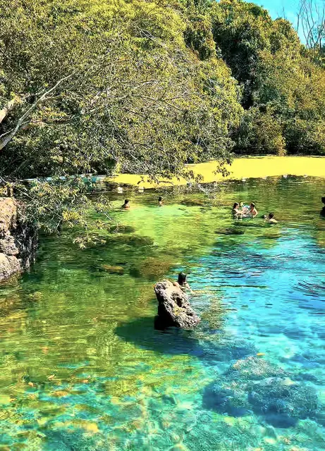 Águas termais da Lagoa Santa cercadas de mata